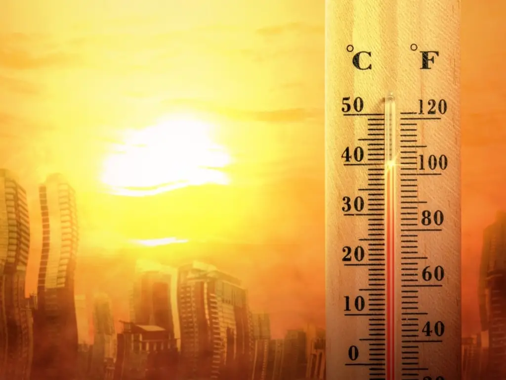 high temperature environment display