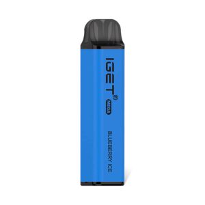 Blueberry Ice - IGET Mega 3000